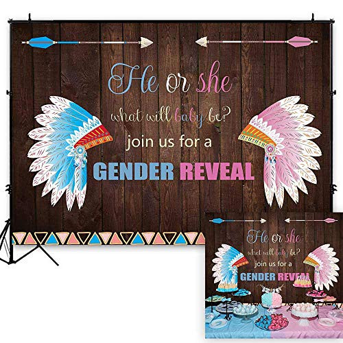 Funnytree Winter Gender Reveal Hintergrund 2,8x1,5 M – Weihnachten, Keks, Junge Oder Mädchen