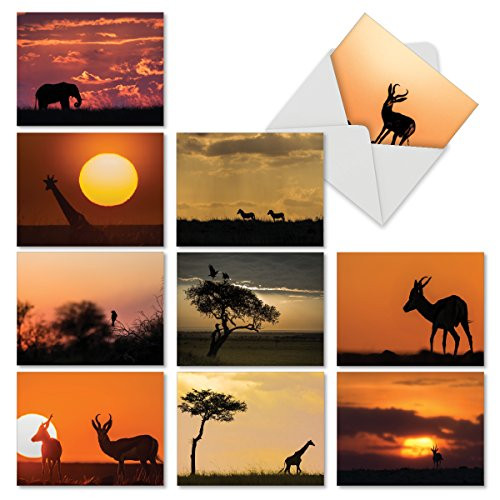 10 Assorted Thank You Note Cards 4 x 5.12 inch with Envelopes - Safari Sunsets' Boxed Greeting Card Set Featuring Silhouetted Animals M6551TYG