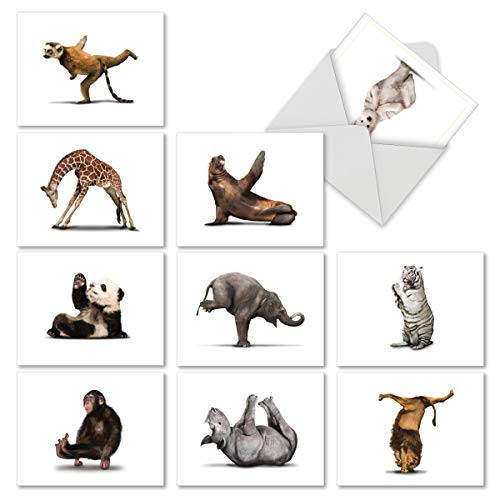 Assortment of 10 Thank You Cards 4 x 5.12 inch Featuring Animals Striking Yoga Poses - Zoo Yoga' Thank You Cards with Animals Doing Yoga - Funny Animal Thank You Note Cards M6547TYG