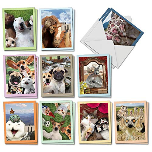 Animal Selfies - 20 Blank Funny Note Cards with Envelopes (4 x 5.12 Inch) - Boxed Assortment of All-Occasion Cards with Cats, Dogs, Horses - Notecard Set (2 Each, 10 Designs) AM2373OCB-B2x10