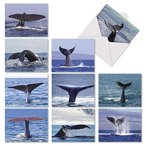 Whale Tales - 10 Majestic All Occasion Blank Cards with Envelope (4 x 5.12 Inch) - Ocean Orca Tails Notecard Set - Boxed Stationery Note Greeting Cards AM6839OCB-B1x10