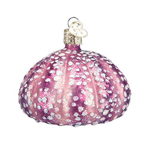 Old World Christmas Glass Blown Ornament with S-Hook and Gift Box, Ocean Collection (Sea Urchin [Purple])