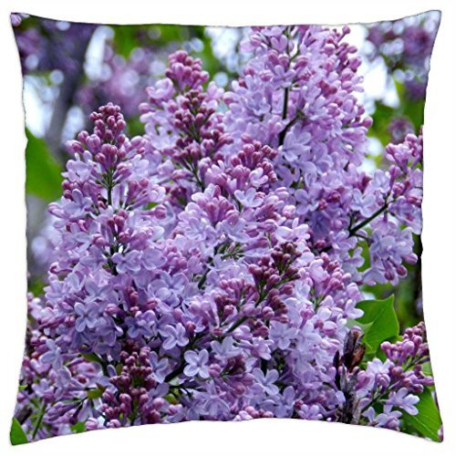 Francis A Bug's Life Mini Bean Bag 6 Plush by Disney