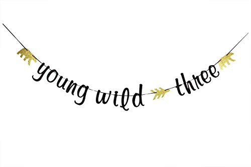 Young Wild & Three Banner for Baby 3rd Birthday Party Decorations Photo Props Young Wild & Three Banner for Baby 3rd Birthday Party Decorations Photo Props