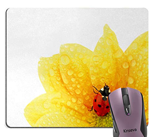 Knseva Cute Ladybug on Gerbera Wet Petals Water Drops Yellow Sunflowers Mouse Pad Nature Scene Mouse Pads