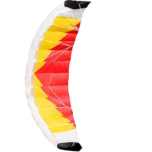 Hengda Kite 2m Dual Line Stunt Parafoil Kites with Flying Tool