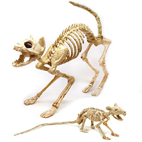 Skeleton Cat and Rat Skeleton for Halloween Decorations, Skeleton Animal Yard Decor and Reaper Bones Animals