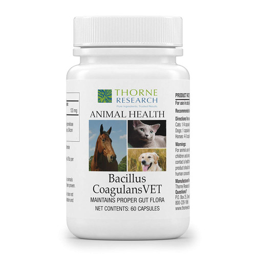 Thorne Research Veterinary - Bacillus CoagulansVET - Helps Maintain Proper Gut Flora - 60 Capsules Thorne Research Veterinary - Bacillus CoagulansVET - Helps Maintain Proper Gut Flora - 60 Capsules