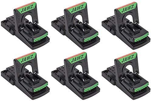 JT Eaton 409 mouse trap (Pack of 6)