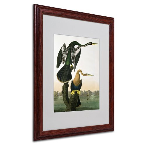 Black-Billed Darter Matted Artwork by John James Audubon with Wood Frame, 16 by 20-Inch