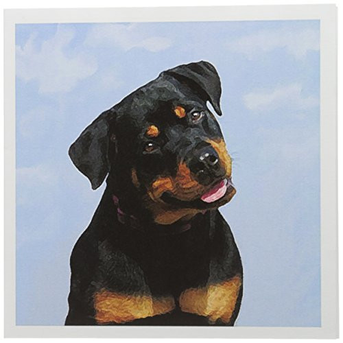 3dRose Rottweiler - Greeting Cards, 6 x 6 inches, set of 12 (gc_4375_2)