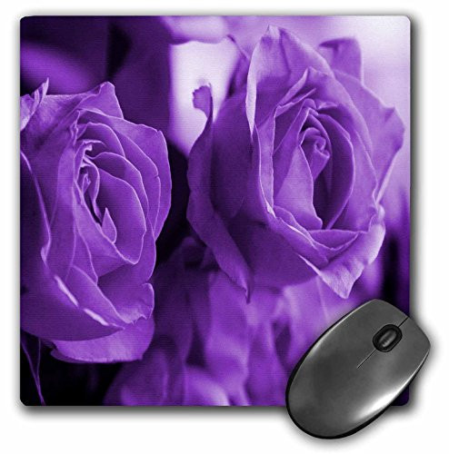 3dRose LLC 8 x 8 x 0.25 Inches Mouse Pad, Three Dusty Purple Roses (mp_6917_1)