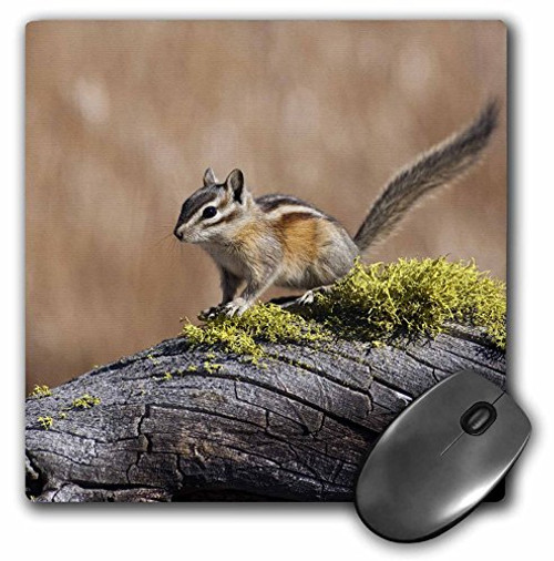 3dRose LLC 8 x 8 x 0.25 Inches Mouse Pad, Rick A. Brown (mp_84189_1)