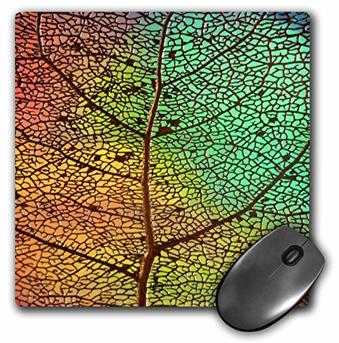 3dRose LLC 8 x 8 x 0.25 Inches Mouse Pad, Macro Closeup of A Leaf Structure Enhanced by Colors of Green Orange and Yellow (mp_154791_1)