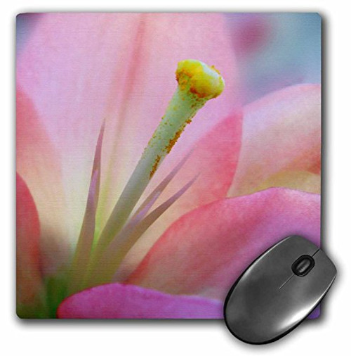 3dRose LLC 8 x 8 x 0.25 Inches Pink Lily Mouse Pad (mp_15439_1)