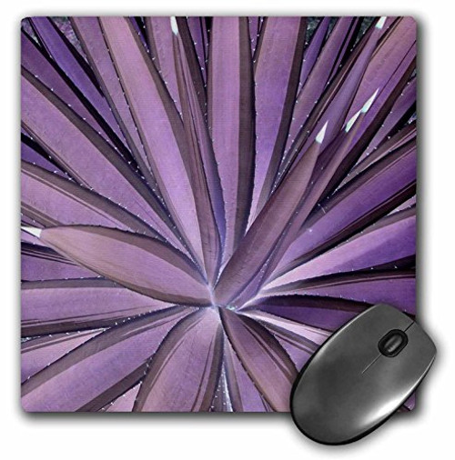 3dRose LLC 8 X 8 X 0.25 Inches Nature in Purple Mouse Pad (mp_26524_1) 3dRose LLC 8 X 8 X 0.25 Inches Nature in Purple Mouse Pad (mp_26524_1)