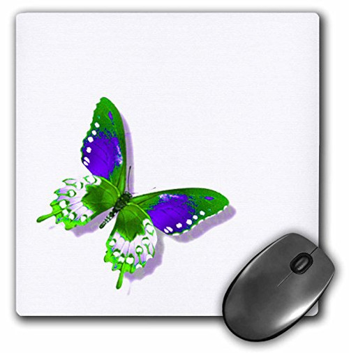 3dRose LLC 8 x 8 x 0.25 Inches Mouse Pad, Green and Purple Butterfly Art Nature Designs (mp_31400_1) 3dRose LLC 8 x 8 x 0.25 Inches Mouse Pad, Green and Purple Butterfly Art Nature Designs (mp_31400_1)