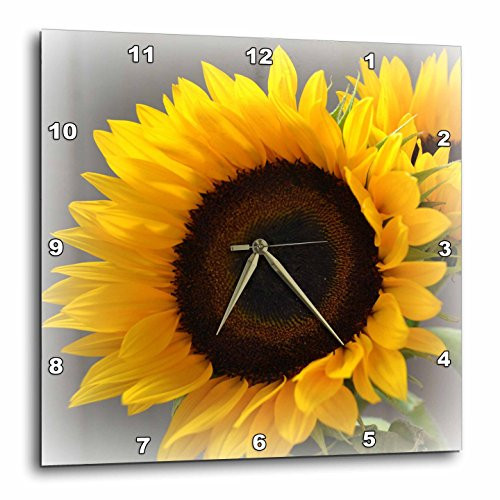 3dRose DPP_37531_2 Yellow Sunflower Delight- Autumn Flowers- Photography-Wall Clock, 13 by 13-Inch