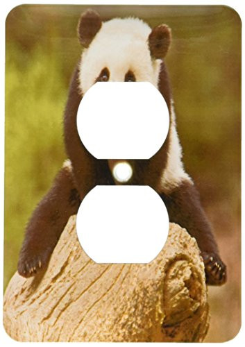 3dRose lsp_70238_6" China, Wolong Reserve, Baby Panda Bear On Stump" Plug Outlet Cover