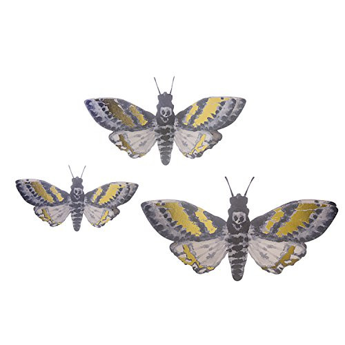 Martha Stewart Paper Moths Wall Décor