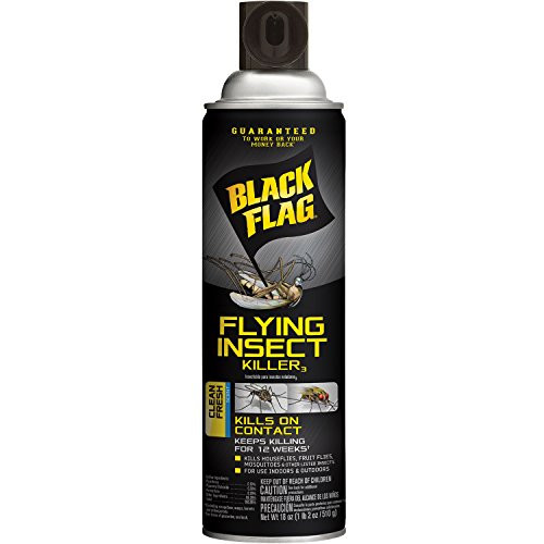 Black Flag Flying Insect Killer Aerosol Spray, 18 Ounce