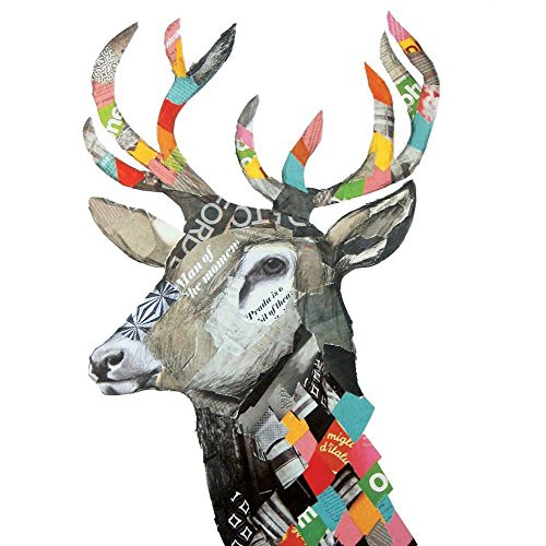 Paperproducts Design PPD 1252591 Regalia Deer Beverage/Cocktail Paper Napkins,5"x5", Multicolor