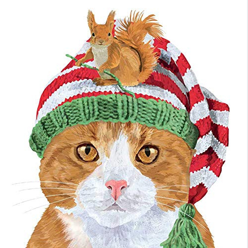 Paperproducts Design 3252932 Erika Beverage Napkin, 5" x 5", Multicolor