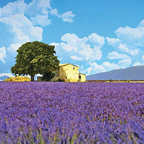 Paperproducts Design 1253037 Aix-En-Provence Beverage Napkin, 5" x 5", Multicolor