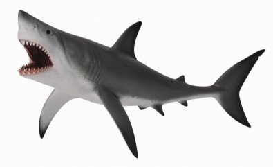 CollectA Sea Life Great White Shark, Open Jaw Toy Figure - Authentic Hand Painted Model