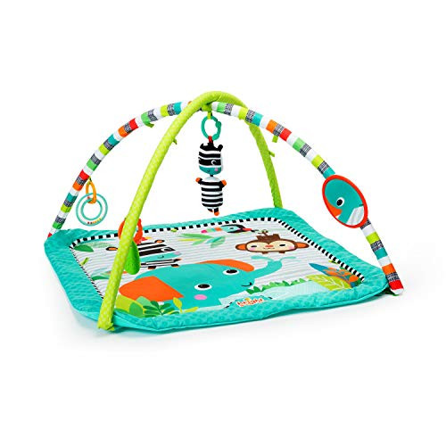 Bright Starts Zig Zag Safari, Activity Gym
