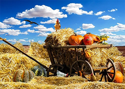 Leowefowa 7X5FT Farmland Backdrop Pumpkin Chicken Sunflowers Rustic Straw Haystack Backdrops for Photography Blue Sky White Cloud Autumn Thanksgiving Day Vinyl Photo Background Adults Studio Props