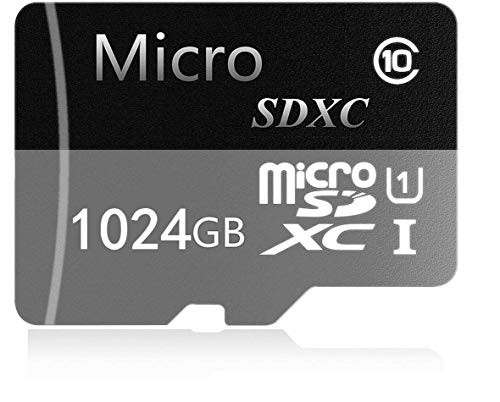 RANESS 1024GB Micro SD SDXC Card High Speed Class 10 Memory SDXC Card with SD Adapter