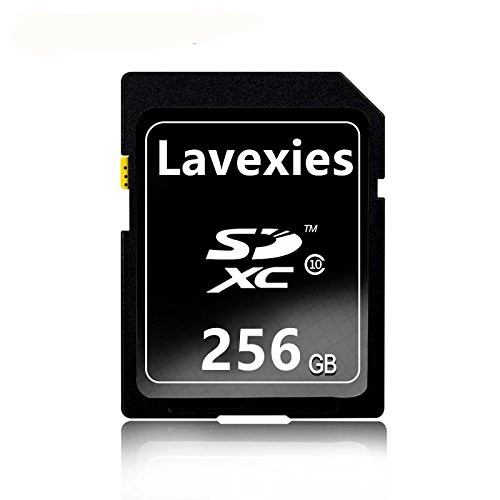 Lavexies 256GB SD Card Class 10 SDXC Memory Card UHS-I Flash Memory Card