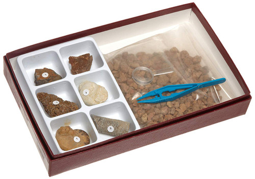 American Educational Fossil Hunt Kit American Educational Fossil Hunt Kit