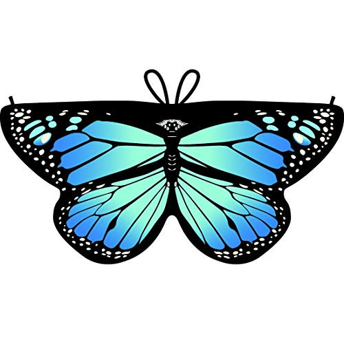 Shireake Baby Cartoon Butterfly Wings Costume Play Butterfly Wings for Kids Monarch Wings (Blue)