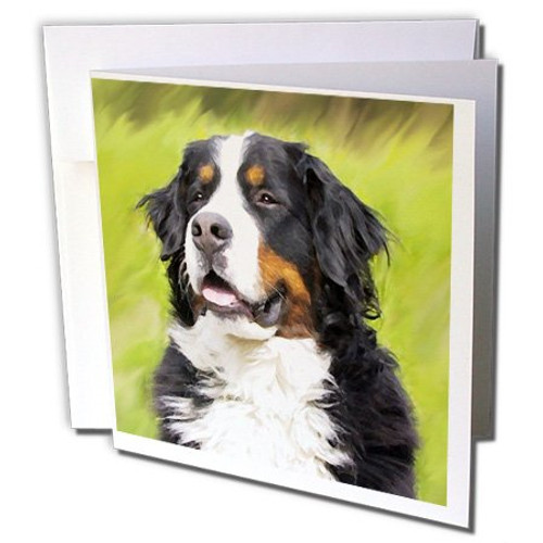 3dRose Bernese Mountain Dog - Greeting Cards, 6 x 6 inches, set of 12 (gc_4402_2)