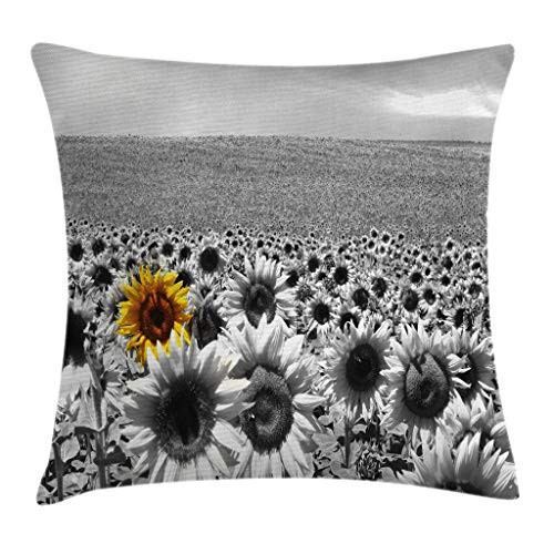 Ambesonne Modern Decor Throw Pillow Cushion Cover by, Sunflower Field Black and White with a Single Yellow Flower Spring Landscape Image, Decorative Square Accent Pillow Case, 18 X 18 Inches, Grey