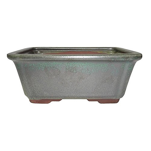 Brussel's 8" Rectangle Bonsai Glazed Ceramic Pot (Medium, Sesame Green)