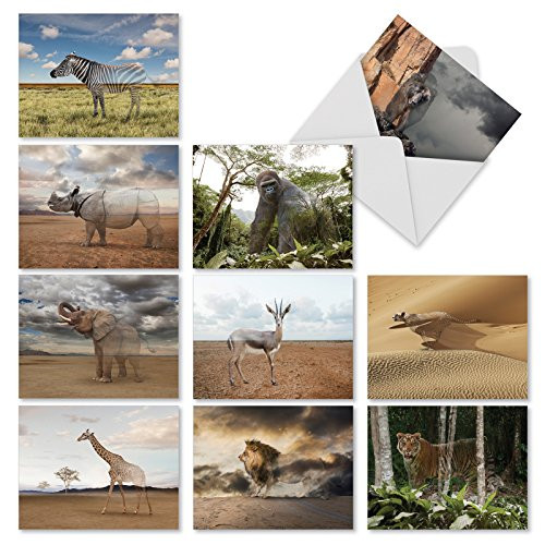 10 'Vanishing Wildlife' All-Occasion Note Cards with Envelopes, Greeting Cards with Fading Pictures of Endangered Species, Blank Stationery for Thank You, Business, Earth Day 4 x 5.12 inch M1736BN