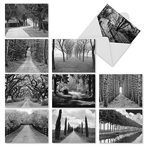 10 Beautiful Paths and Scenery Greeting Cards 4 x 5.12 inch - All Occasion, Blank Note Set Tree Lines Notecards - Black and White Card Photography - Assorted Landscape Notecards w/Envelopes M3313sl