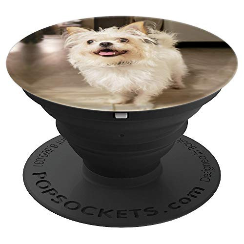 Cute Terrier Bulldog Dog - PopSockets Grip and Stand for Phones and Tablets