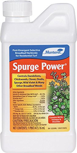 Monterey LG 5600 Spurge Power Herbicide, One Pint