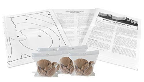 American Educational Fossil Laboratory Kit (Pack of 5) American Educational Fossil Laboratory Kit (Pack of 5)