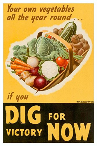 Dig for Victory Now World War II Propaganda Laminated Dry Erase Sign Poster 12x18