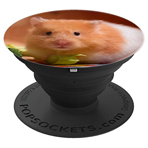 Cute Golden Brown And White Hamster Gift For Hamster Lovers - PopSockets Grip and Stand for Phones and Tablets