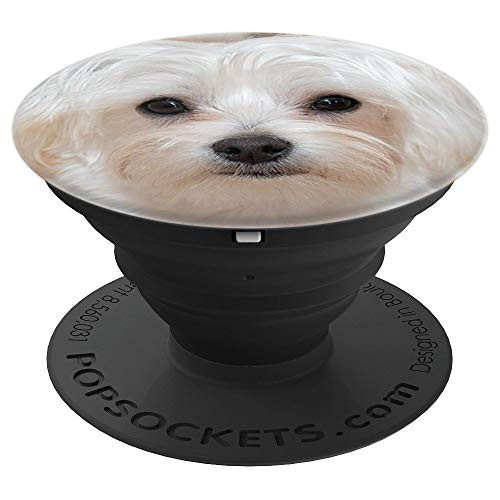 Maltese Dog Face - PopSockets Grip and Stand for Phones and Tablets Maltese Dog Face - PopSockets Grip and Stand for Phones and Tablets