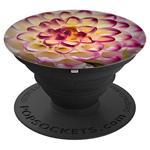 Dahlia Flower Purple and White - PopSockets Grip and Stand for Phones and Tablets Dahlia Flower Purple and White - PopSockets Grip and Stand for Phones and Tablets