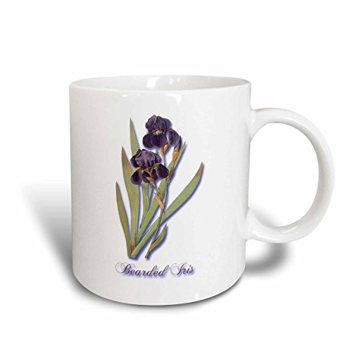 3dRose 171212_1""Bearded Iris Botanical Print Of Dark Purple Flowers With Orange" Ceramic Mug 11 oz