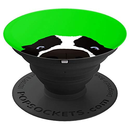 Border Collie Nose Peeking At You - Green - Funny - Dog Nose - PopSockets Grip and Stand for Phones and Tablets