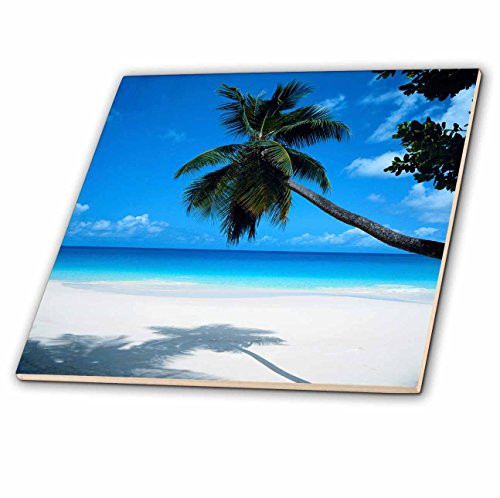 3dRose ct_50951_3 Tropical Paradise Awaits Ceramic Tile, 8-Inch
